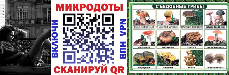 Галлюциногенные грибы MAGIC MUSHROOMS купить закладку Петровск-Забайкальский